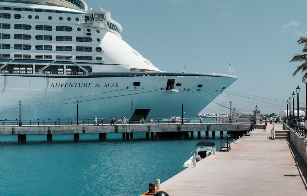 A cruise ship berthed at a passenger terminal